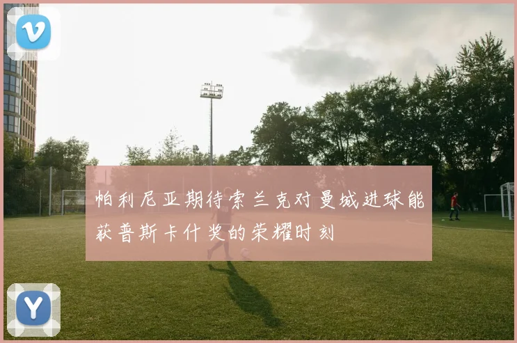 帕利尼亚期待索兰克对曼城进球能获普斯卡什奖的荣耀时刻